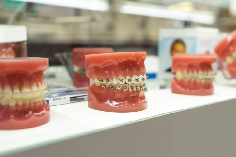 plastic tooth model for oral health care study and 2021 12 27 17 29 25 utc 3