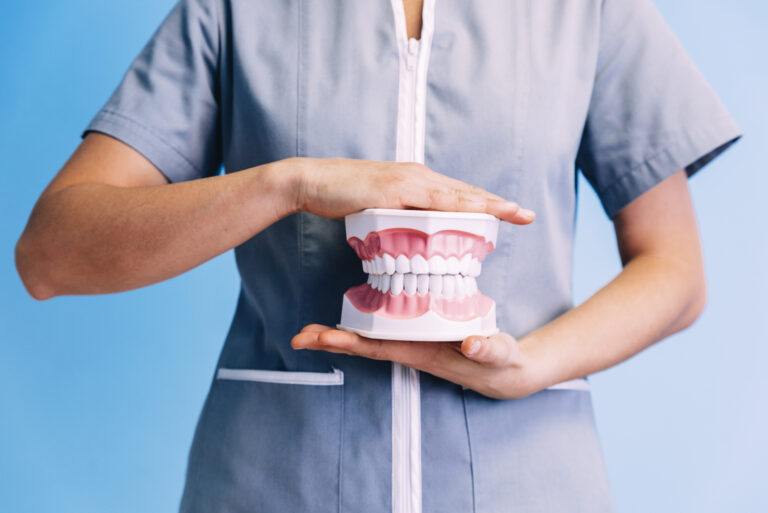 dental model of jaw 2021 08 27 22 49 33 utc